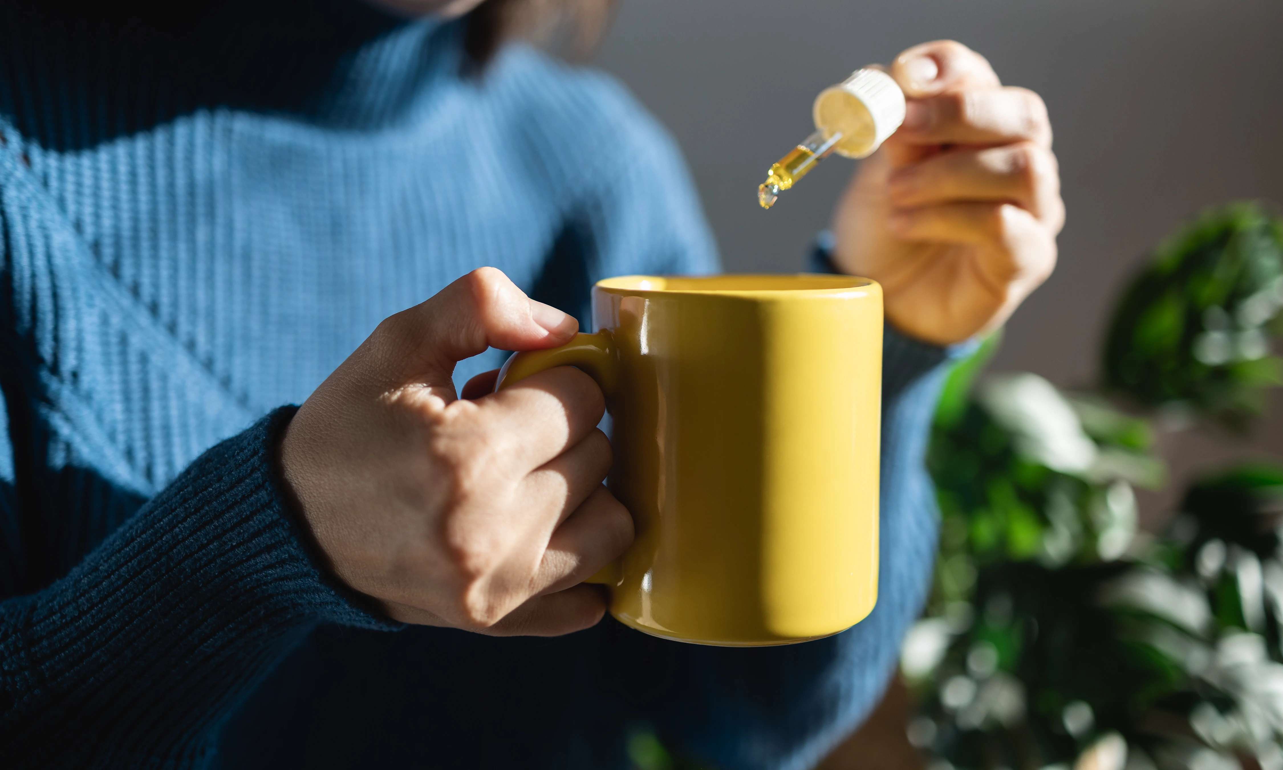 CBD Öl Tee CBD Öl Tee
