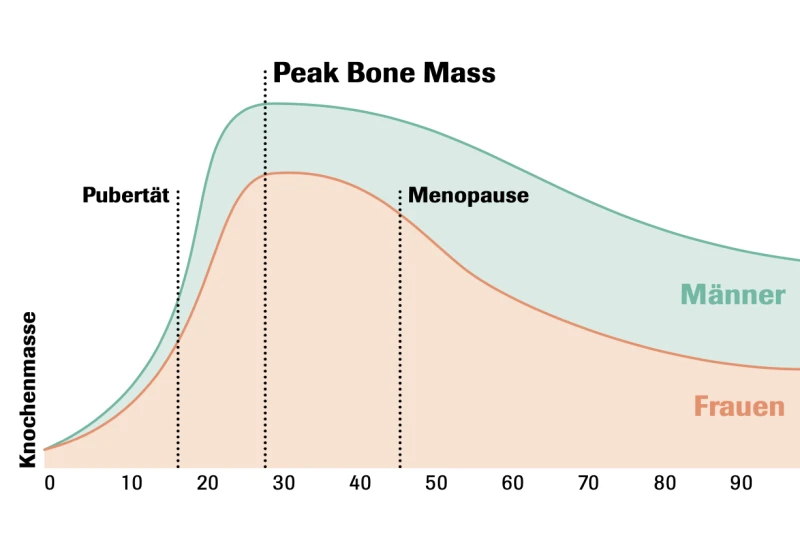 Peak Bone Mass (deutsch) Infografik Peak Bone Mass