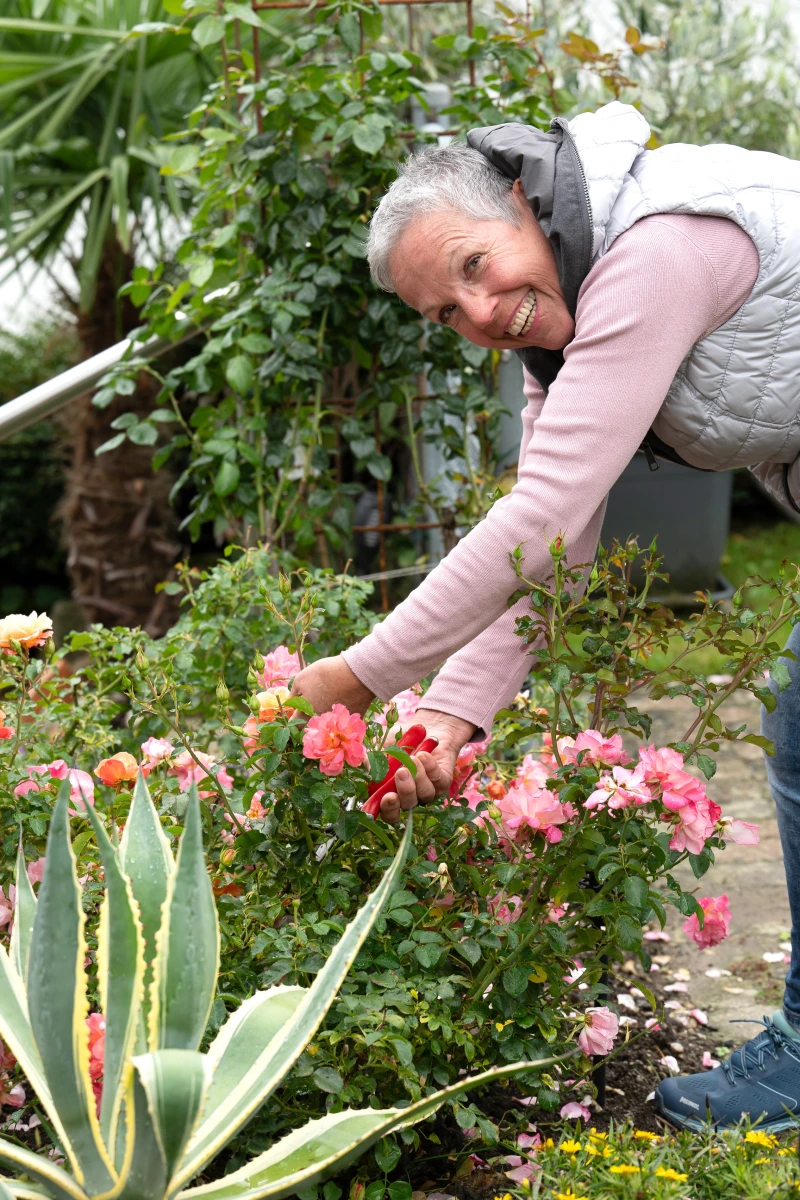 Gartenarbeit Gartenarbeit
