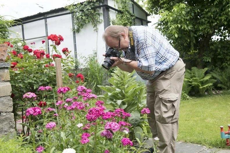Fotografieren der Blumen Fotografieren der Blumen