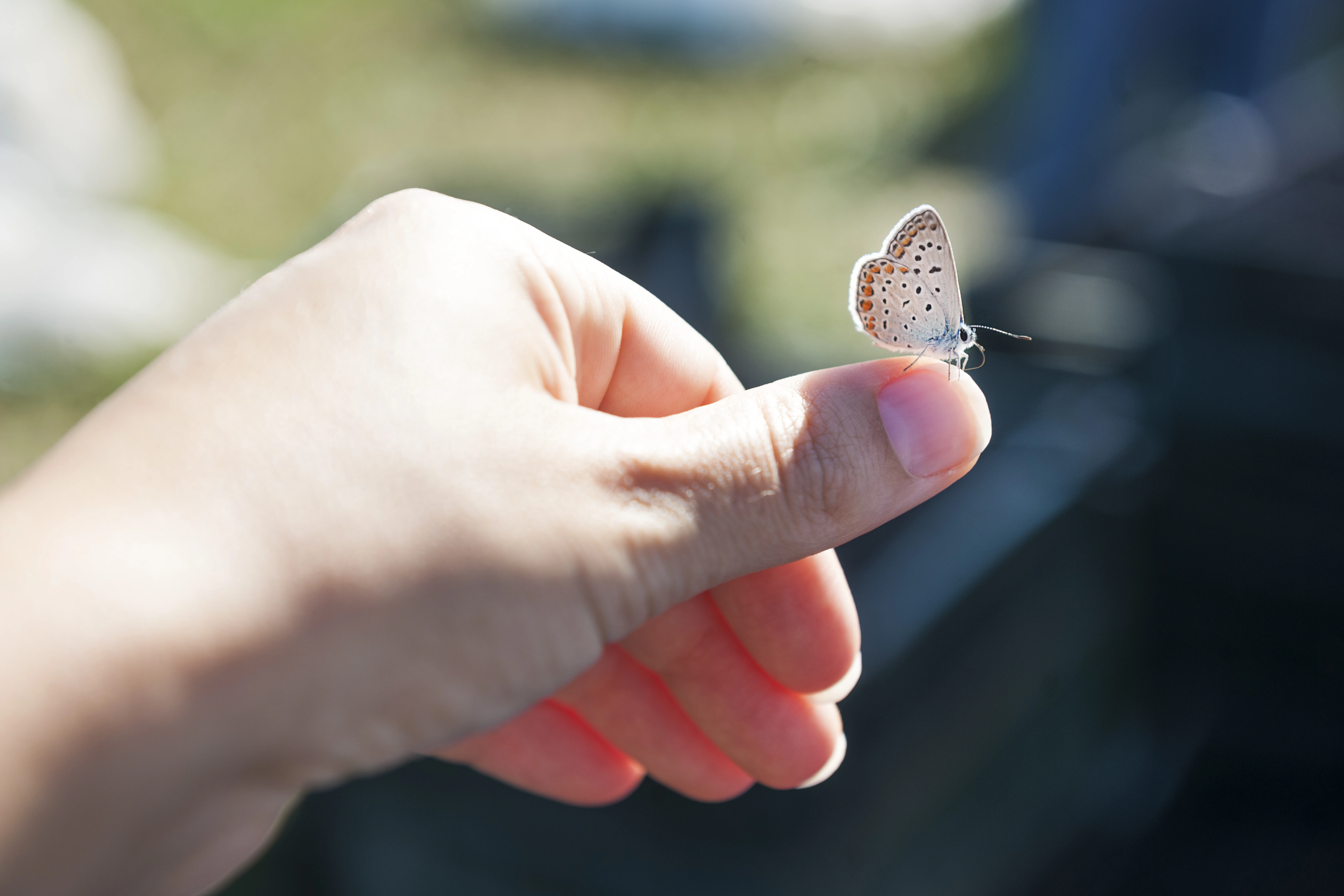 Entlastung der Hände Schmetterling auf Hand