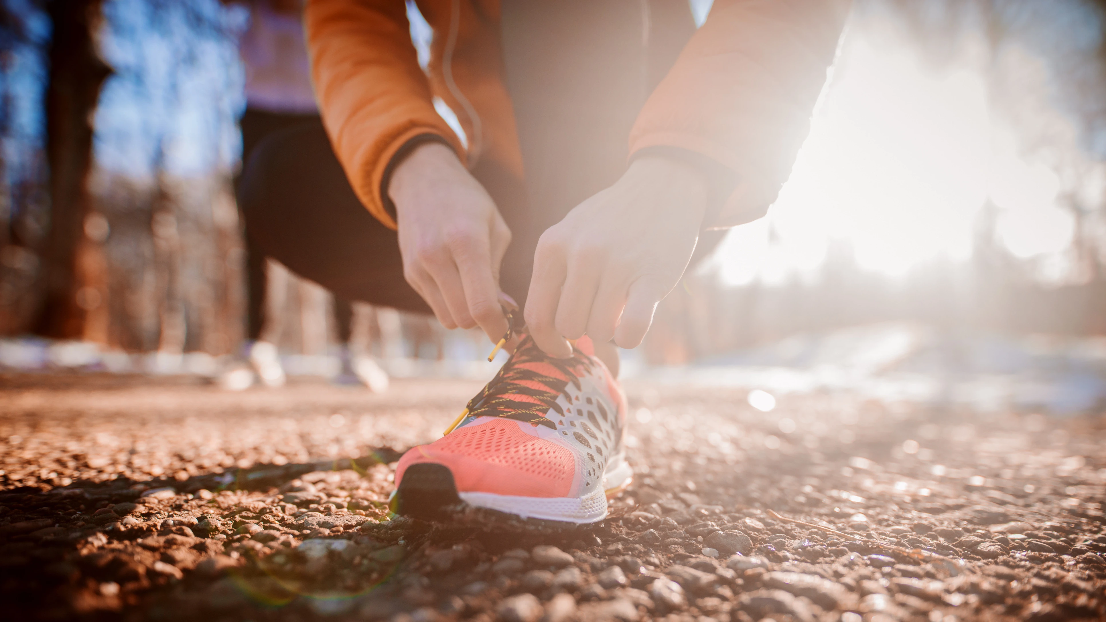 Video Nordic Walking und Rheuma Video Nordic Walking und Rheuma