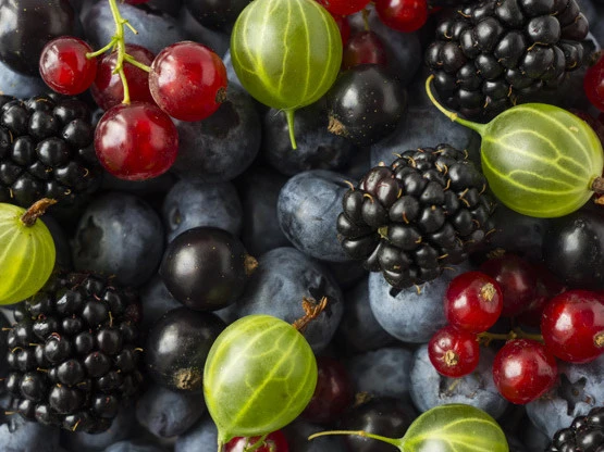 Gesunde Beeren Gesunde Beeren Mix