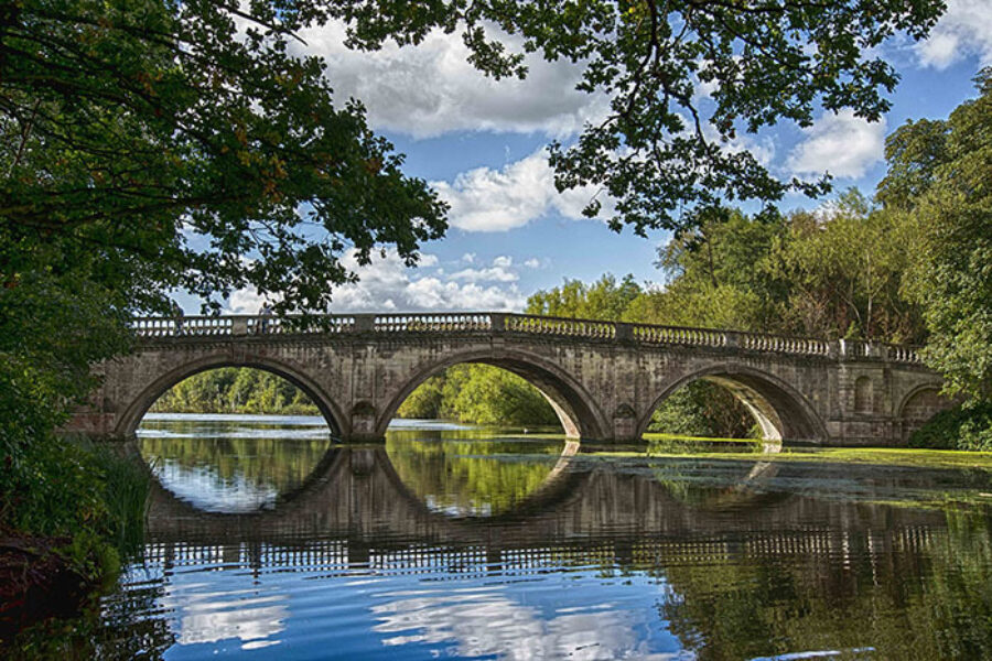 Bruecke web