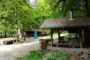 240524 Saedelbachwald