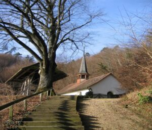 250411 Bucheggberg Wanderung