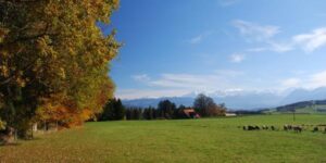 251031 Zimmerwald