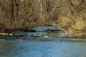 Aare Bern Wandernacht 2021