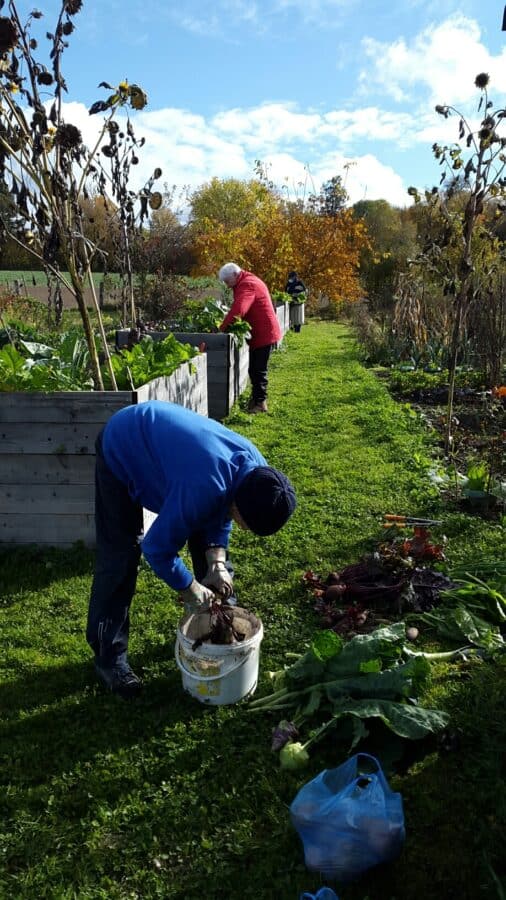 Gartenprojekt 2020 Janet Kaethi und Betty am Werken