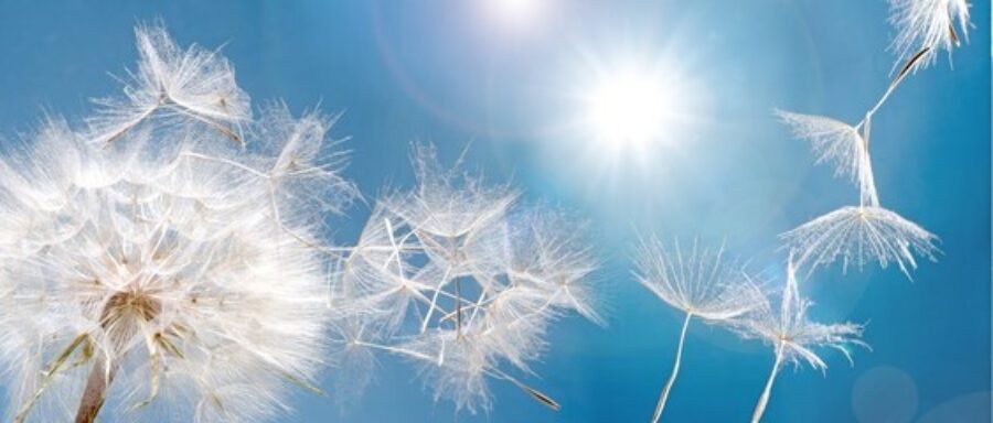 Himmel Himmel