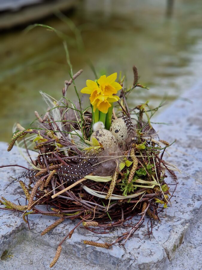 Osternest mit Fruehblueher k
