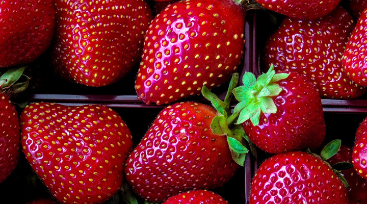 Erdbeeren Foto Philippe Collard