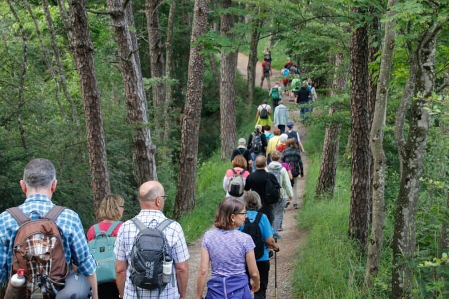 Wanderung auf dem Albisgrat Wanderung auf dem Albisgrat