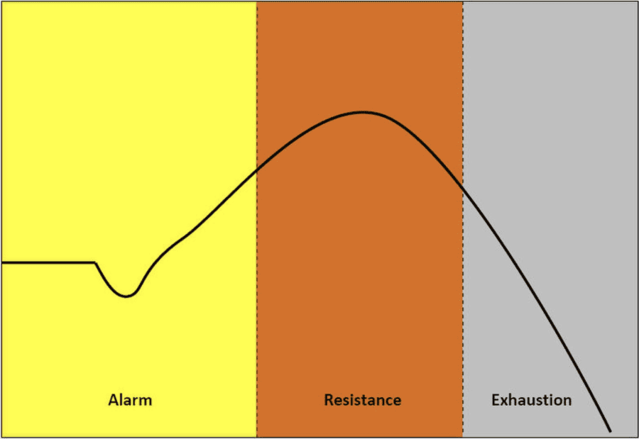 Diagramm Alarm Resistance Exhaustion