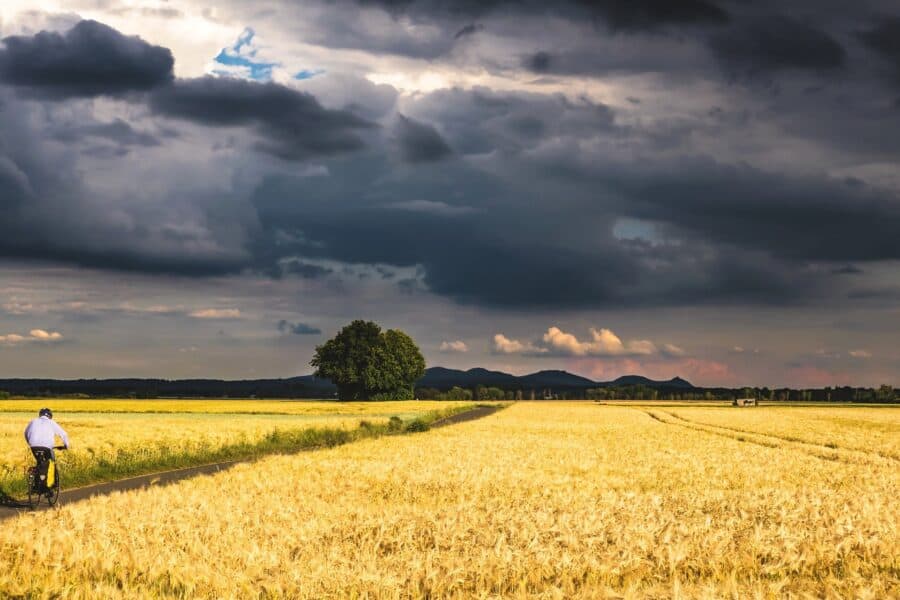 Kornfeld mit Gewitterwolken