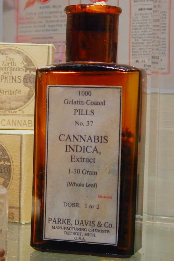 Cannabis médicament (musée) - © Wikimedia commons / LordToran Cannabis médicament (musée)