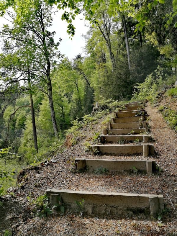 Treppenpfad zur Fallätsche - © Rheumaliga Treppenpfad zur Fallätsche