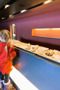 Rheumaliga Schweiz Familientag 2025