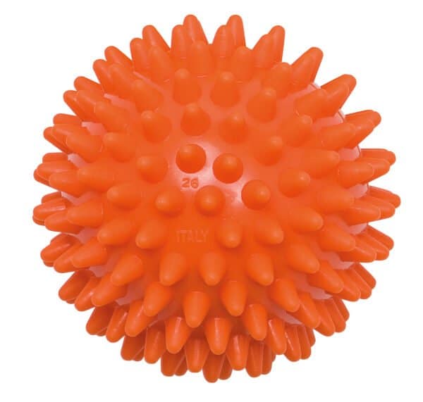 Igelball Igelball