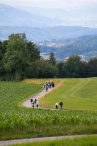 Weg durch die Maisfelder