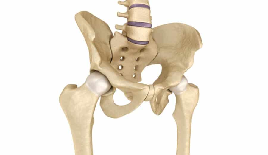 Connaissances de base sur l'arthrose de la hanche - Ligue suisse ...