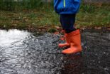 Regen