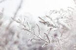 Slider Dezember Winter