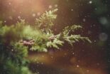 Winter Hintergrundbild