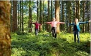 Wald