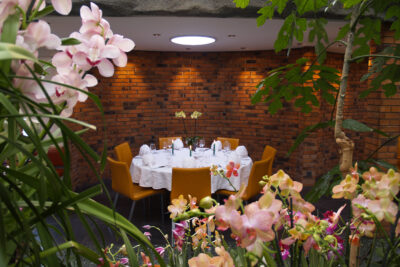 Tropenpflanzen Restaurant Runder Tisch 5