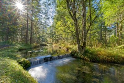 Diablerets les Sources