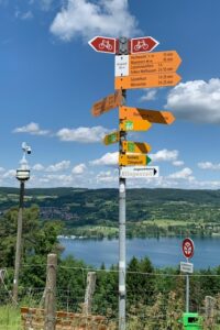 Wanderung Steinam Rhein 11