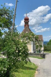 Wanderung Steinam Rhein 12