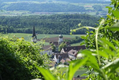 Wanderung Steinam Rhein 1