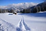 Winter 2024112 1920