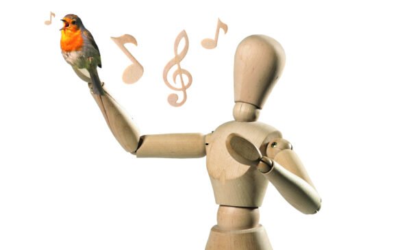 Singen Vogel Cw Singen Vogel Cw