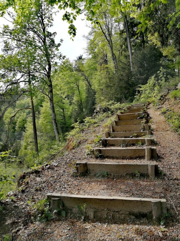 Nacht Wanderung Nacht Wanderung