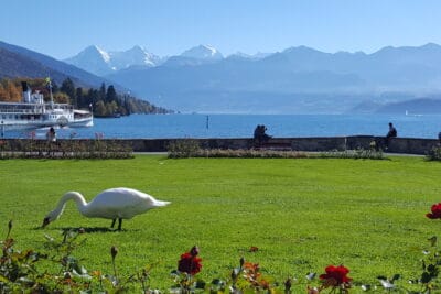 Schloss Schadau Thun