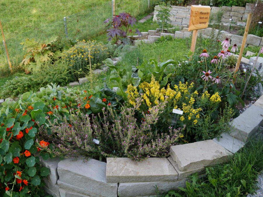 Herborama Heilpflanzenbeet