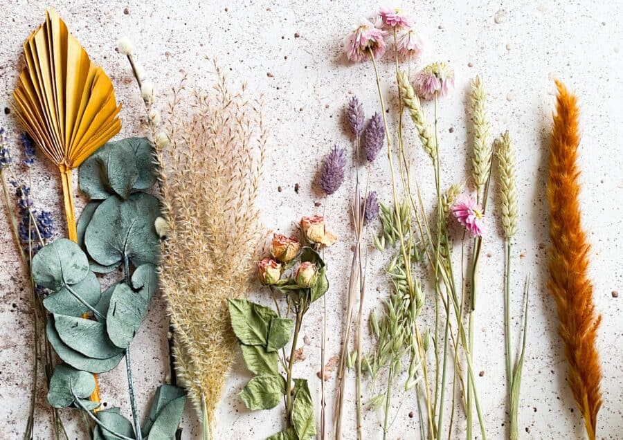 Aromatherapie Aromatherapie