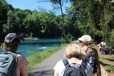 Wandernacht 2022 1
