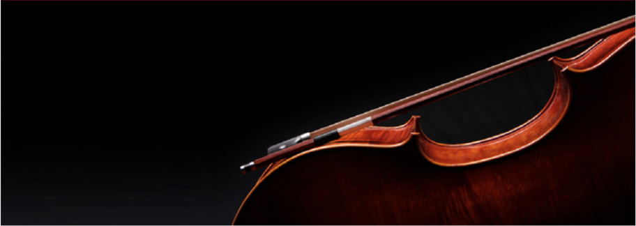 Rheumaliga Newsletter